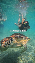 Bali Schildkröte Leinwand